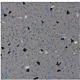 Emery Flooring Wholesaler
